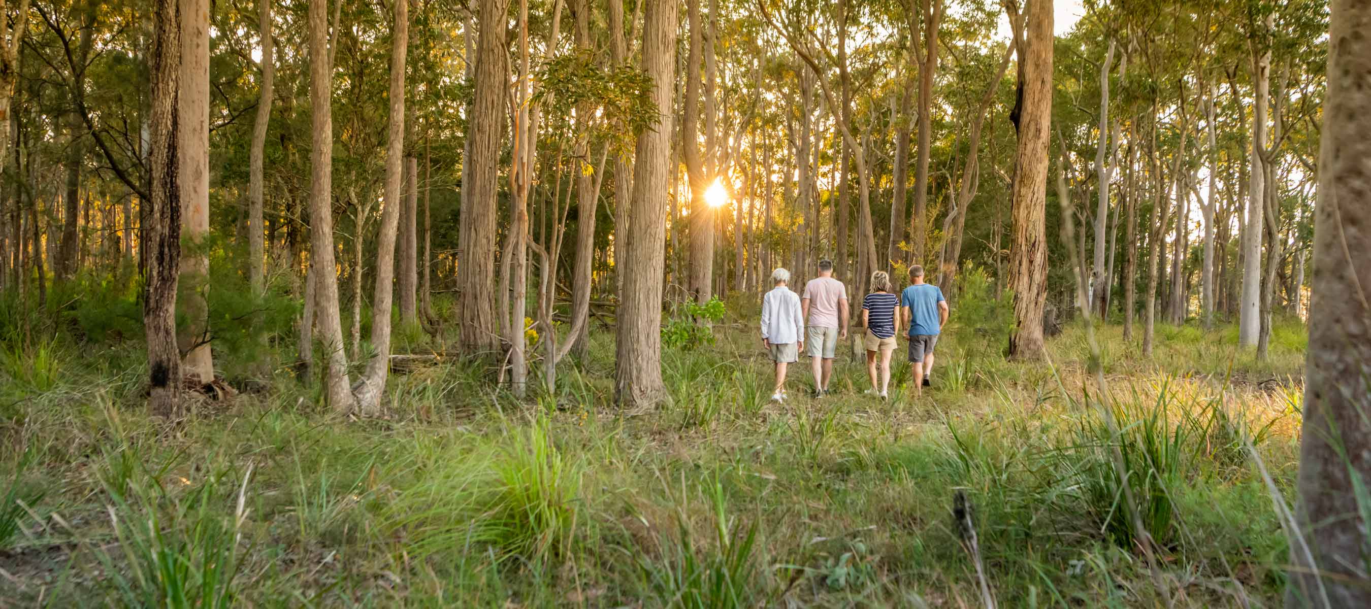 Blueheath residents walking through forest in Medowie Port Stephens Newcastle